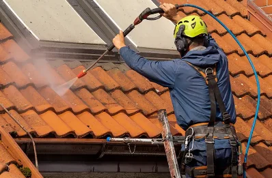 Démoussage et hydrofuge de toiture à Tralonca